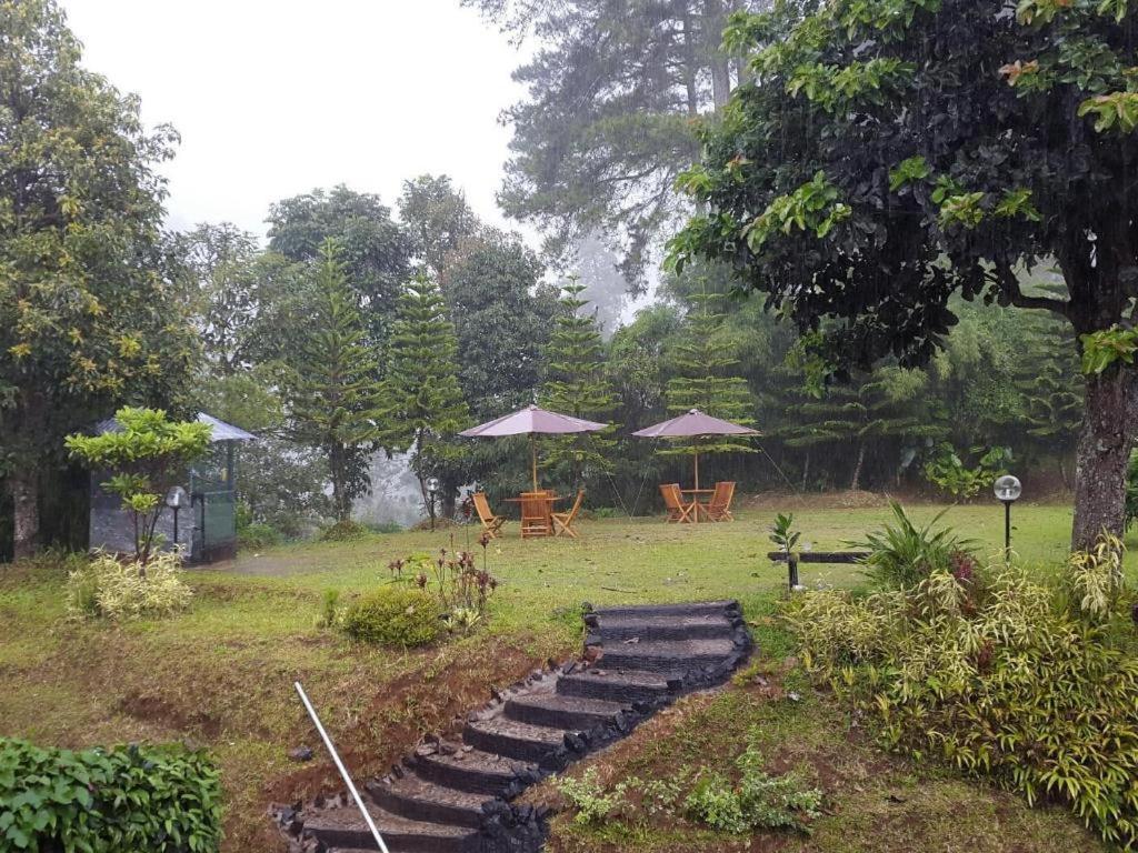 Casa Monte Rosa Puncak Zewnętrze zdjęcie